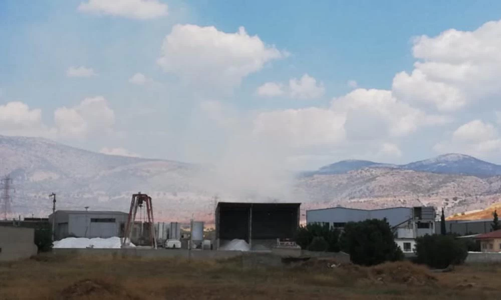 Πυρκαγιά ξέσπασε σε χαμηλή βλάστηση στη Χασιά
